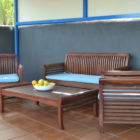 Castanos Los Realejos