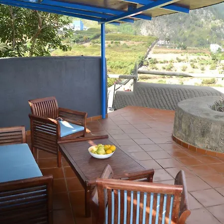 Castanos Los Realejos