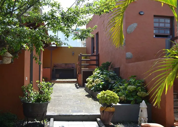 Castanos Los Realejos